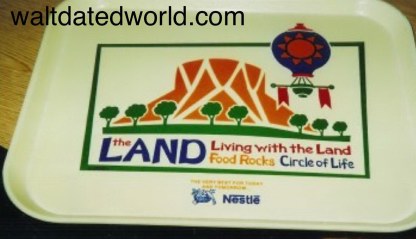 Food Tray from The Land Epcot