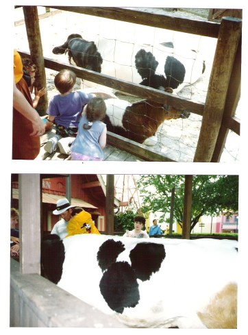 Minnie Moo the cow at Mickey's Birthdayland