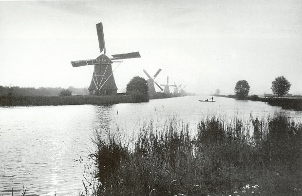 Symbiosis wind mills